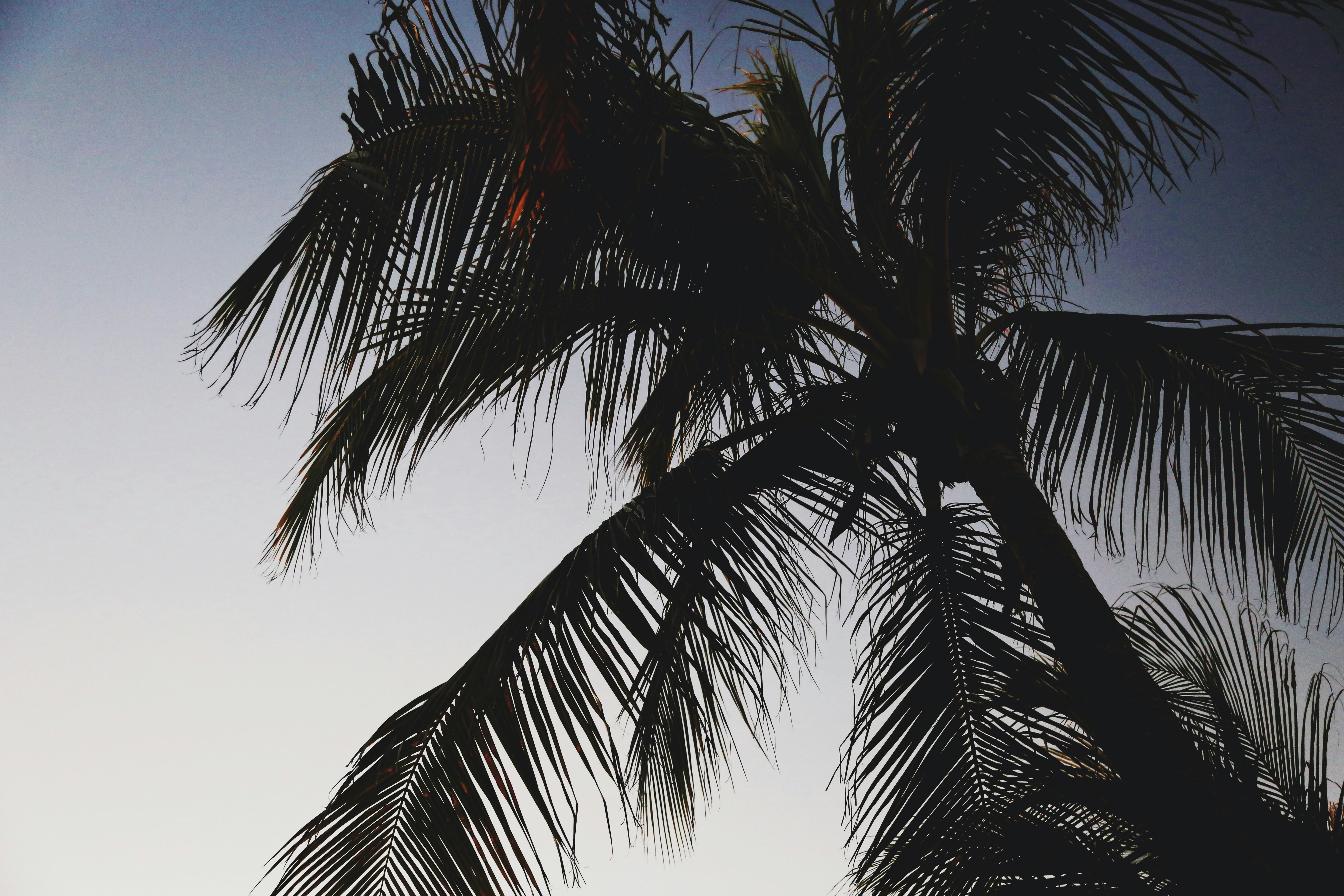 infographic showing electric heat strip installation in air handler with cost comparison between heat strips and heat pumps for Miami's mild winter climate, including monthly usage costs and efficiency ratings - affordable electric heat strips in miami, fl