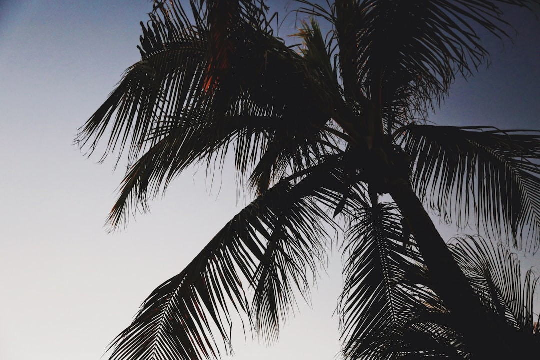 infographic showing electric heat strip installation in air handler with cost comparison between heat strips and heat pumps for Miami's mild winter climate, including monthly usage costs and efficiency ratings - affordable electric heat strips in miami, fl infographic showing electric heat strip installation in air handler with cost comparison between heat strips and heat pumps for Miami's mild winter climate, including monthly usage costs and efficiency ratings - affordable electric heat strips in miami, fl