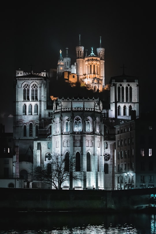 None in La Basilique Notre Dame de Fourvière France