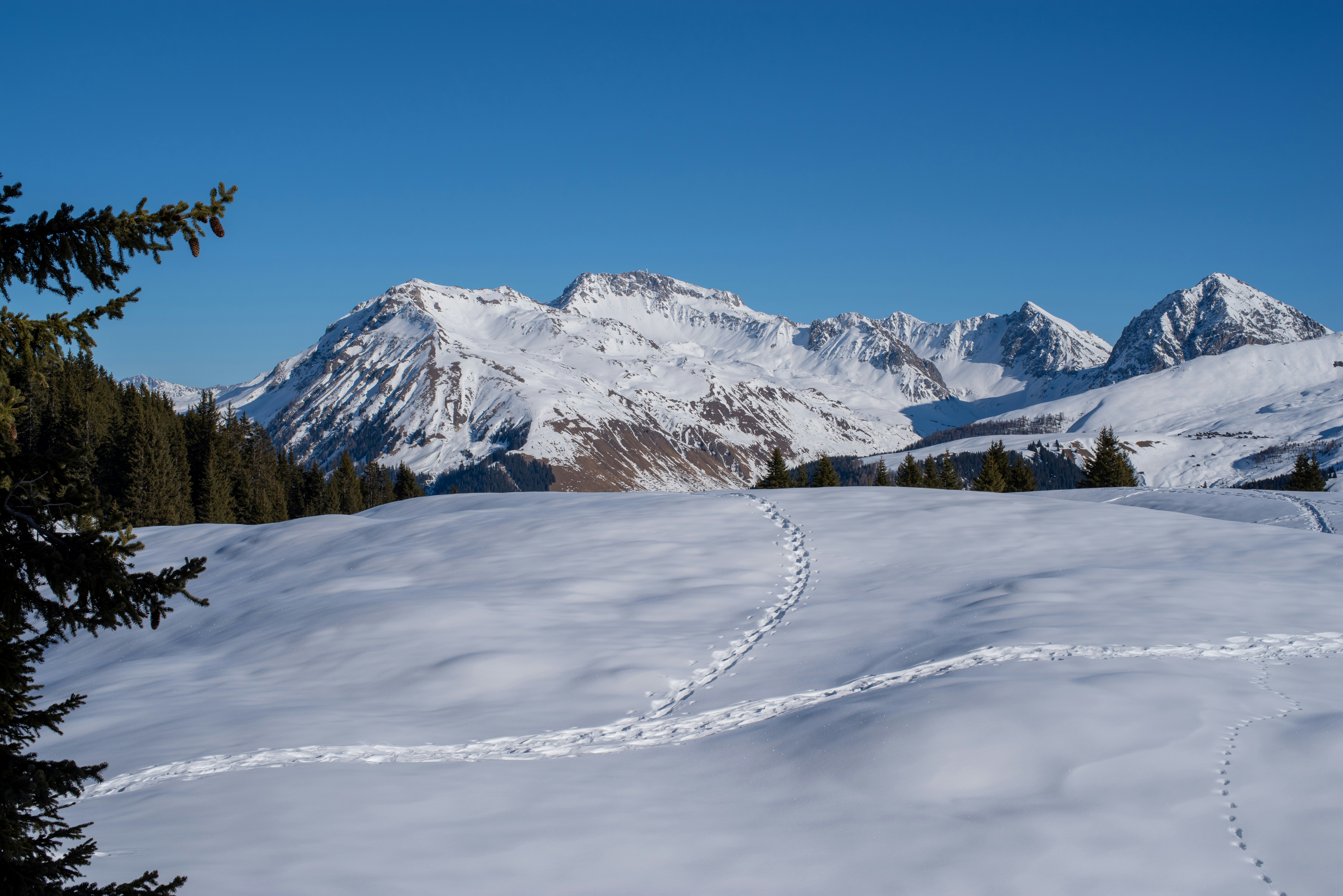 snow covered mountain under blue sky during daytime