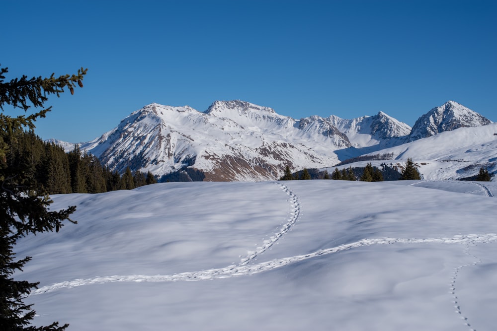 snow covered mountain under blue sky during daytime