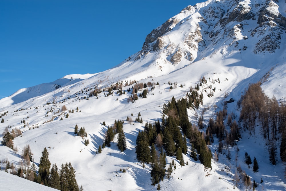 snow covered mountain during daytime