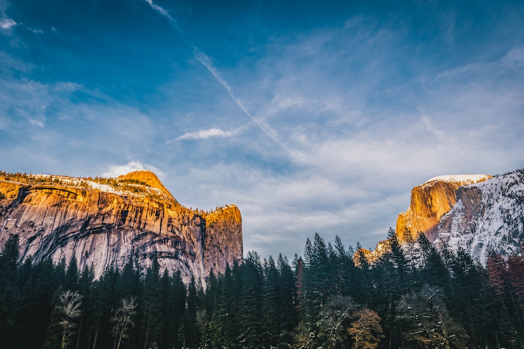 green pine trees near brown rocky mountain under blue sky during daytime