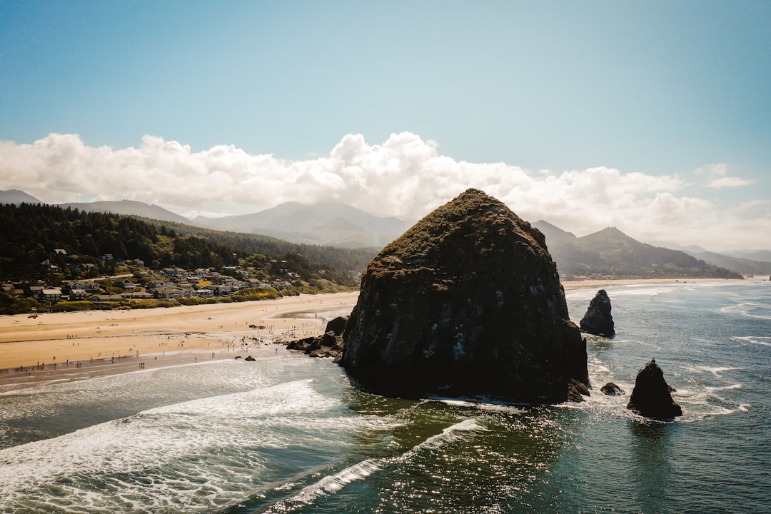 brown rock formation on sea water during daytime