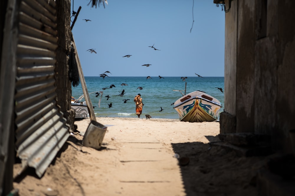 people on beach during daytime