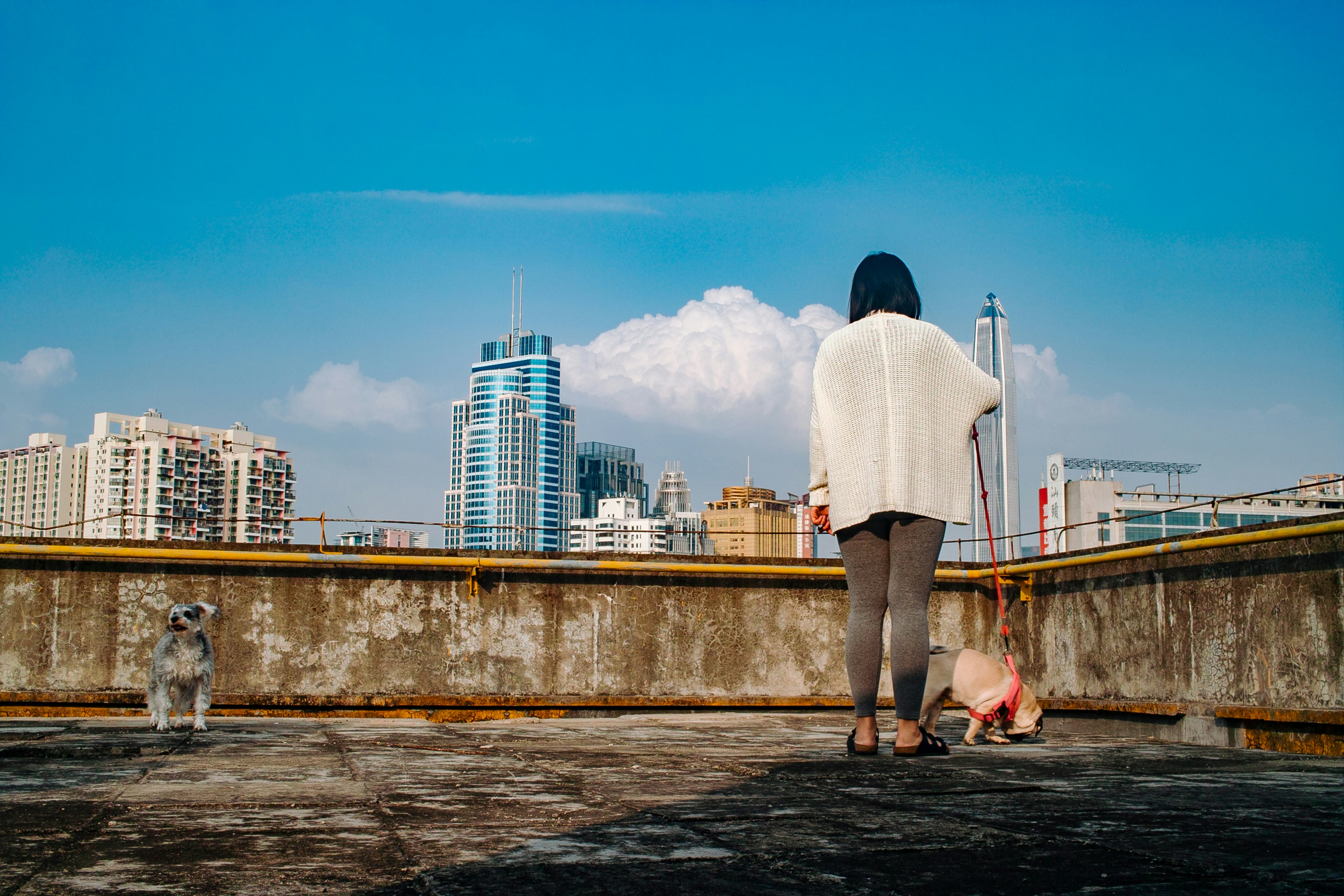 Photo by joshuafernandez