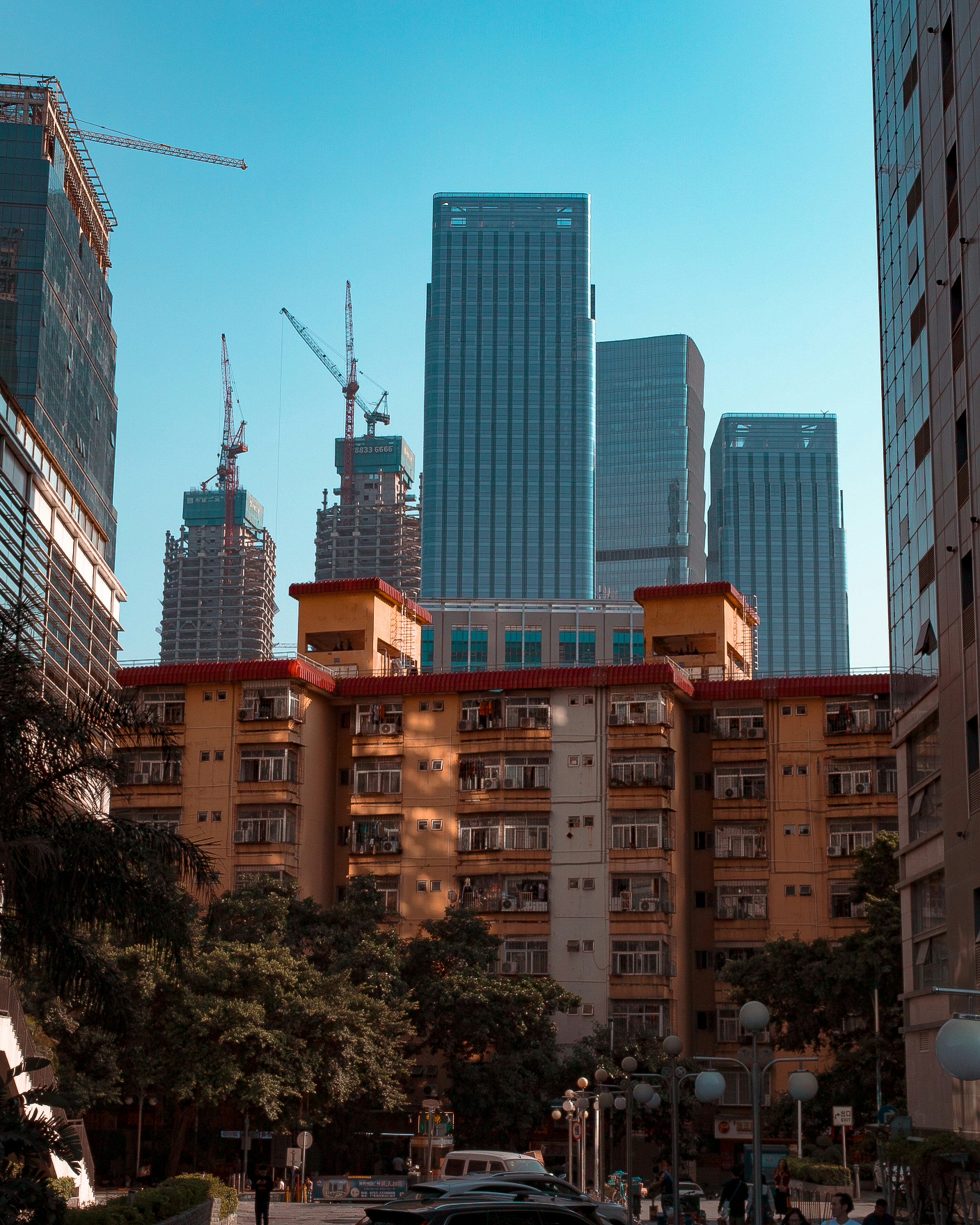 Photo by joshuafernandez