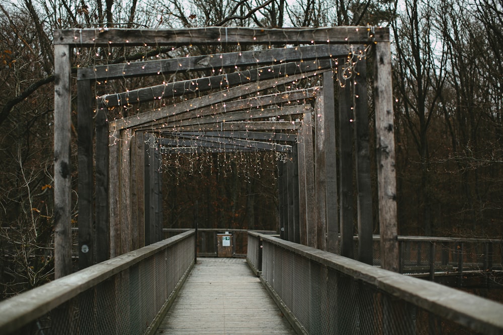 brown wooden bridge in between bare trees during daytime