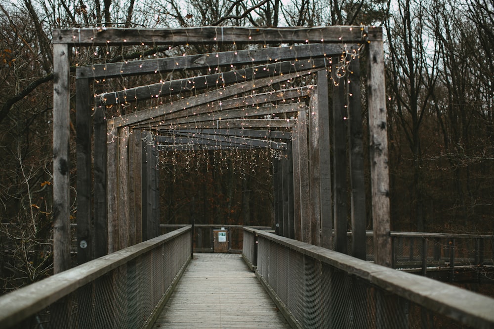 Pont en bois brun entre les arbres dénudés pendant la journée