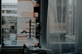 A compact, colorful pet cage suitable for small pets, placed next to a sunny window.