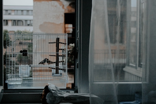 A compact, colorful pet cage suitable for small pets, placed next to a sunny window.