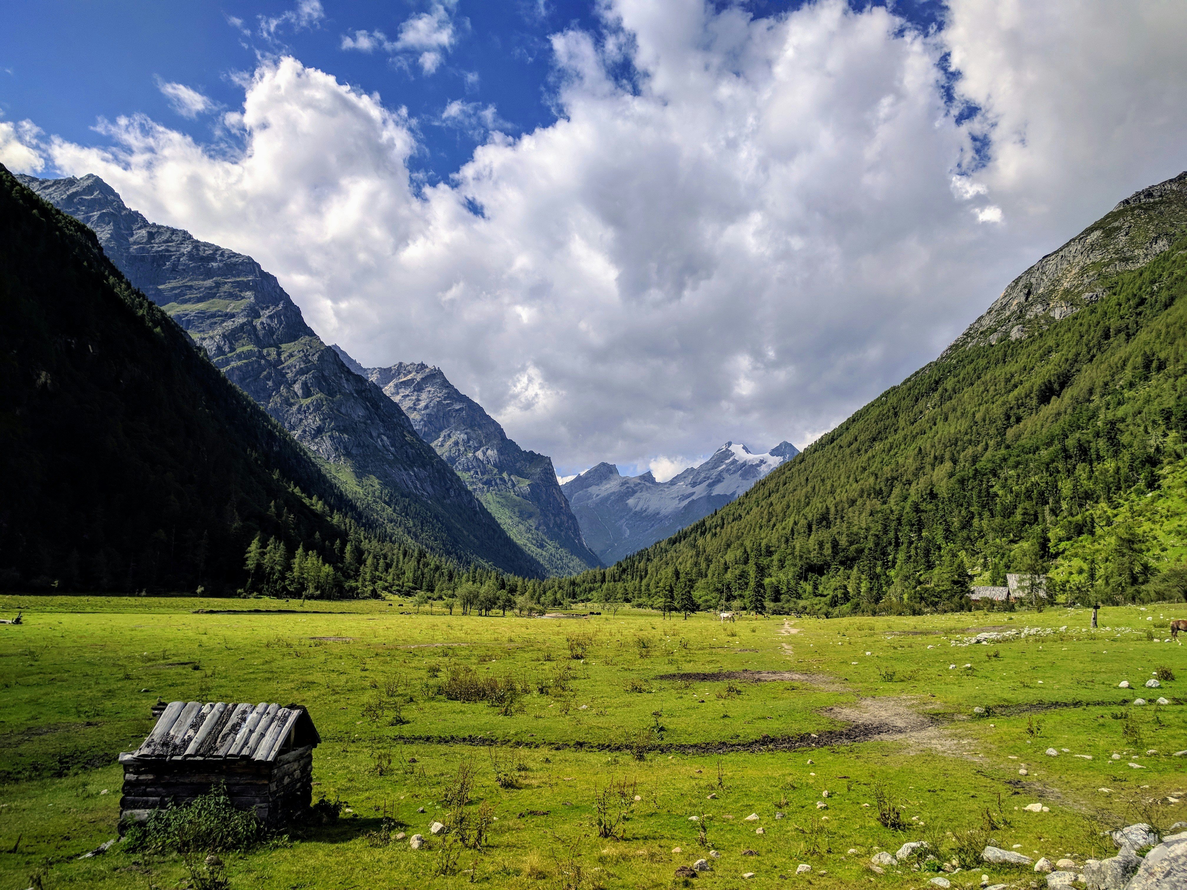 brown wooden bench on green grass field near mountain under white clouds and blue sky during