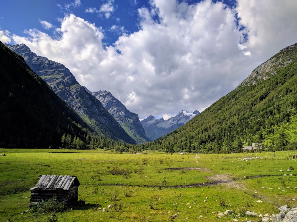 brown wooden bench on green grass field near mountain under white clouds and blue sky during