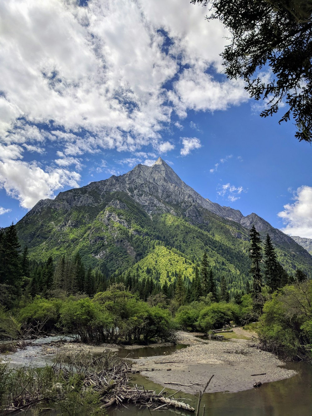 green trees near mountain under blue sky during daytime