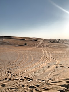 a dirt road in the middle of a desert