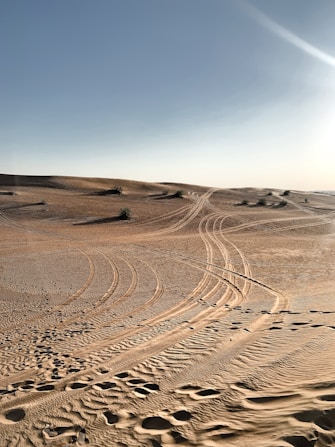 a dirt road in the middle of a desert