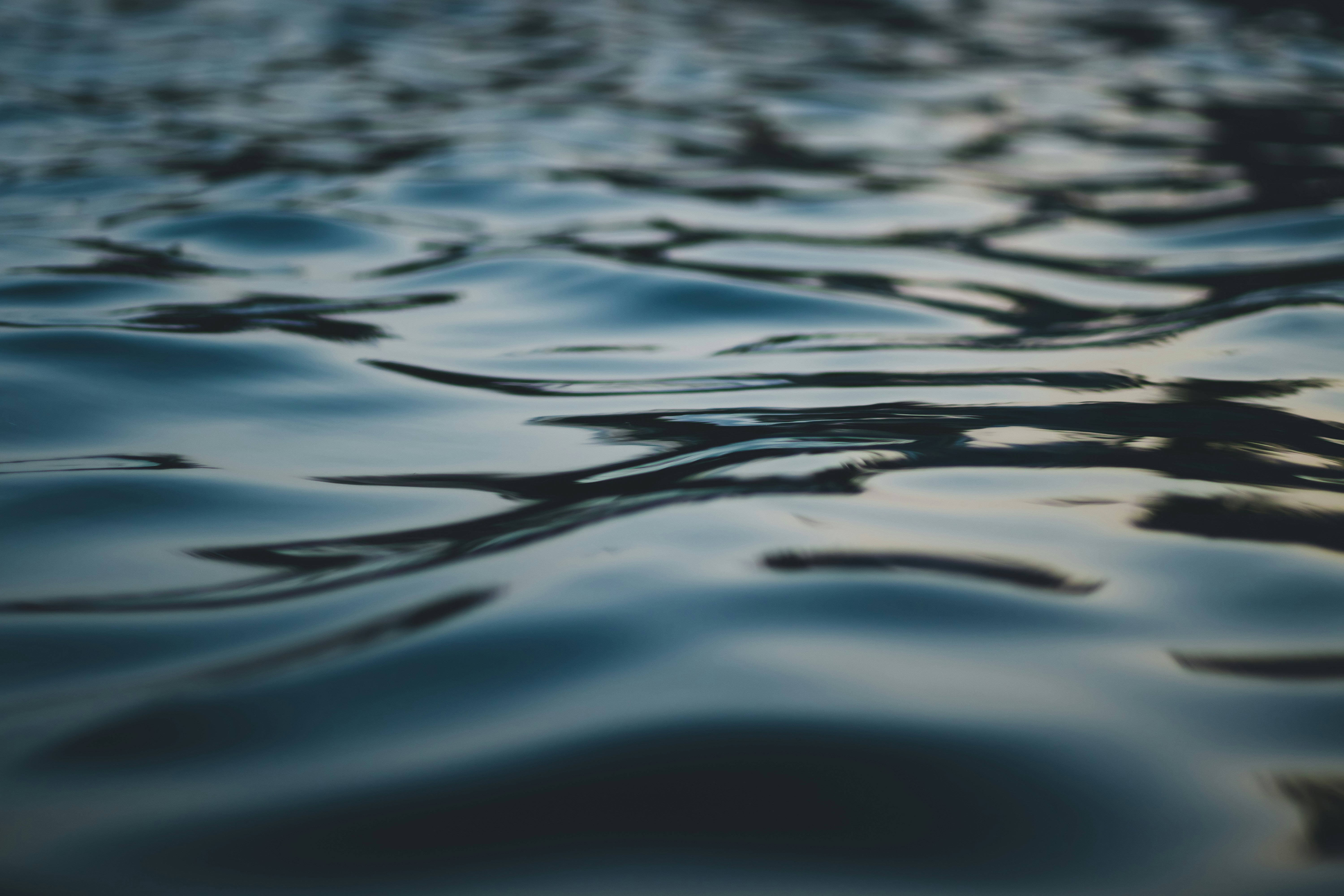 Photo by lazyartistgallery