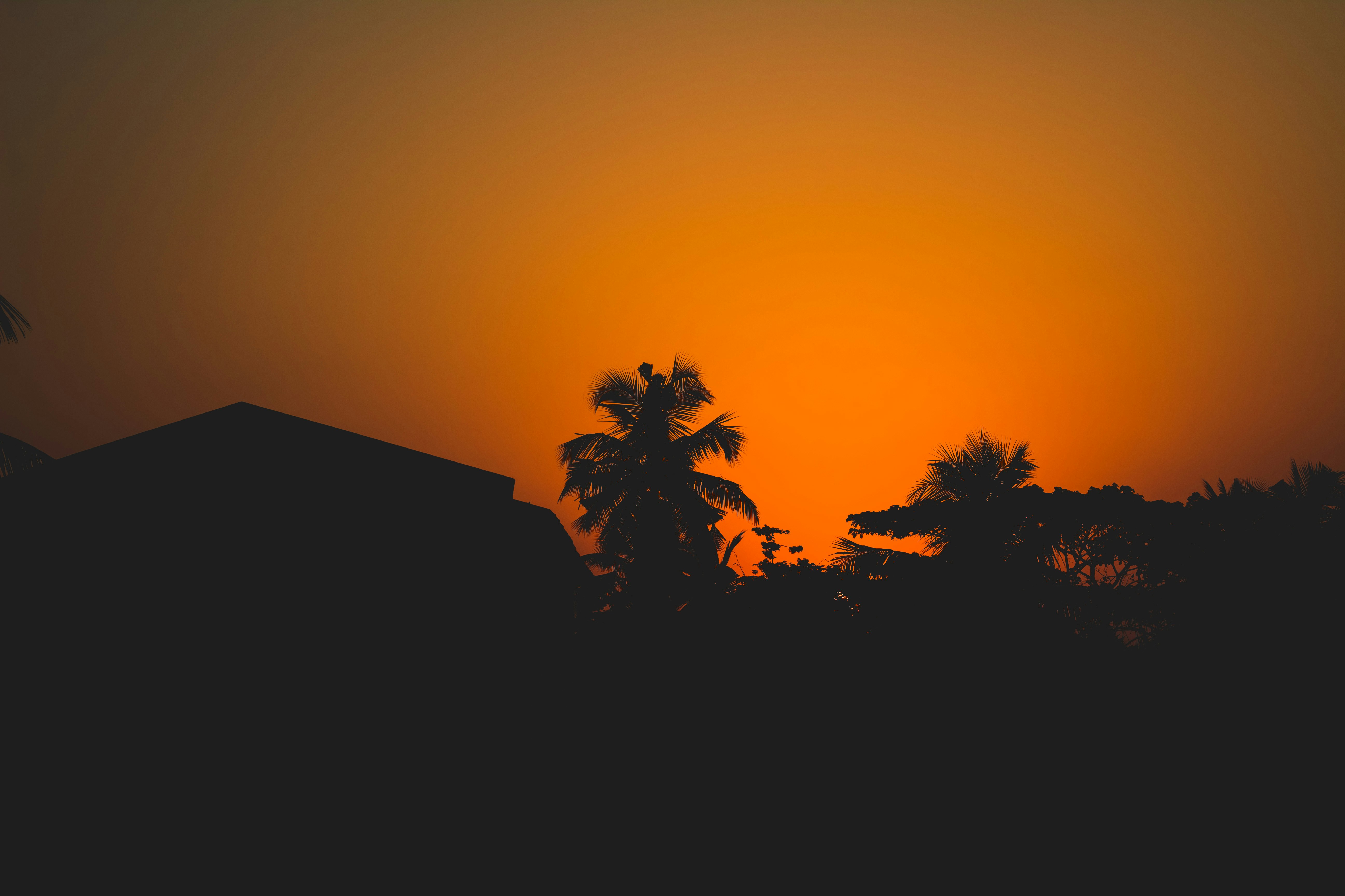 Photo by lazyartistgallery