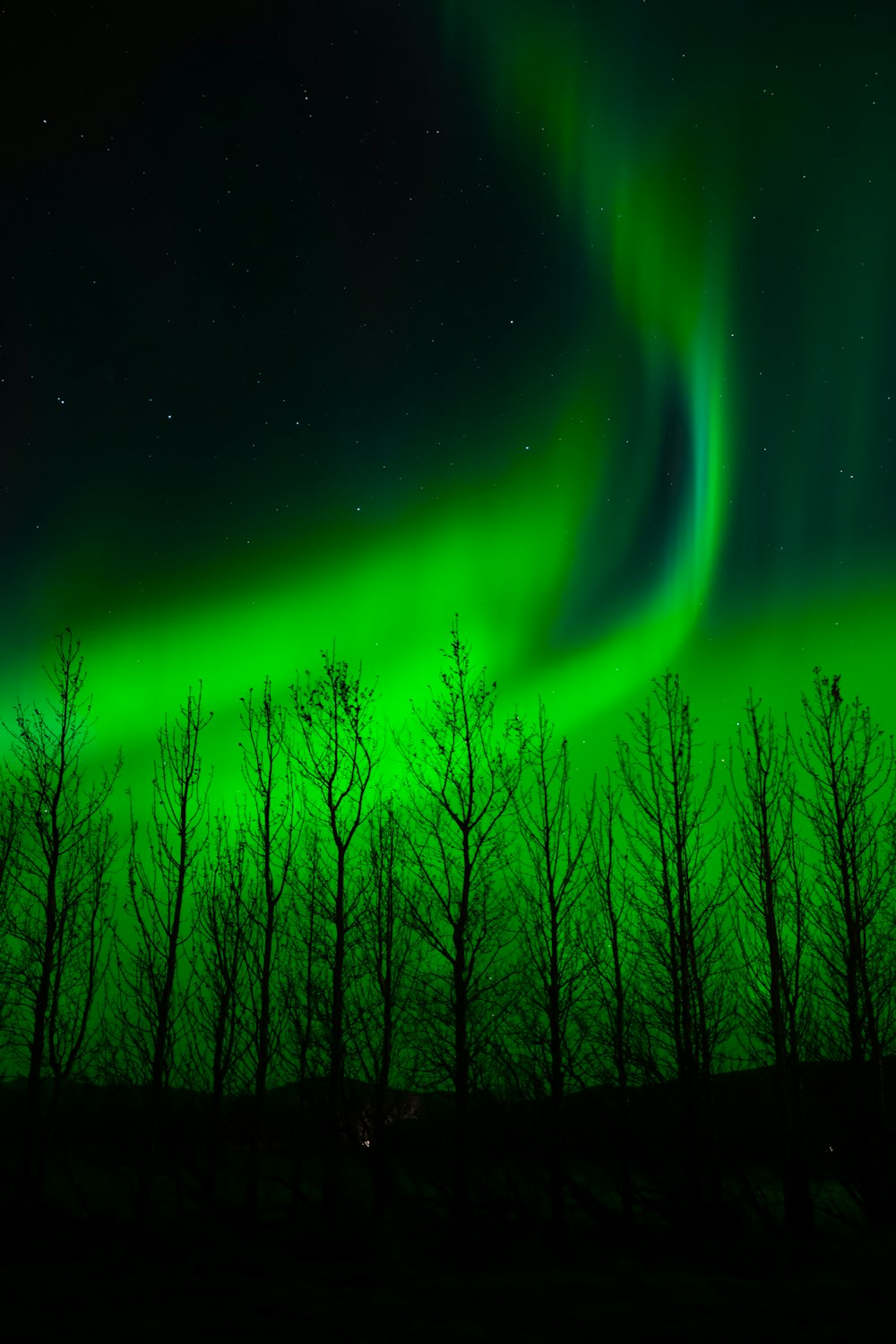 purple and green light in dark room