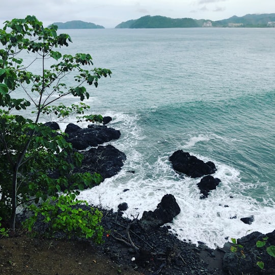 Puntarenas Province things to do in Tambor