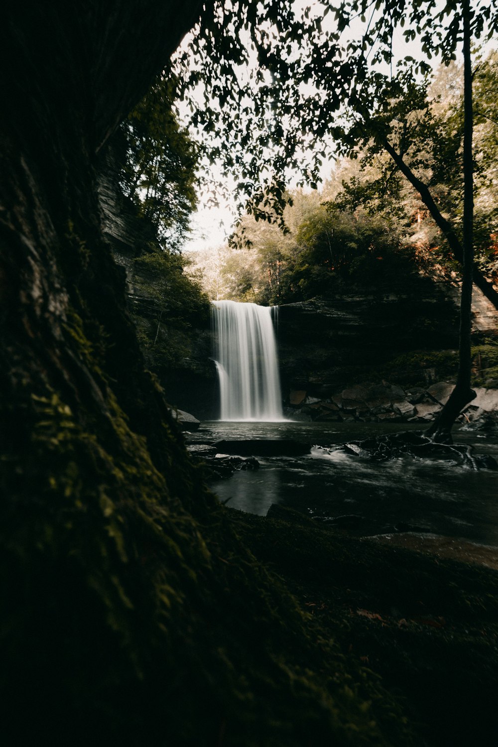 water falls in the middle of the forest