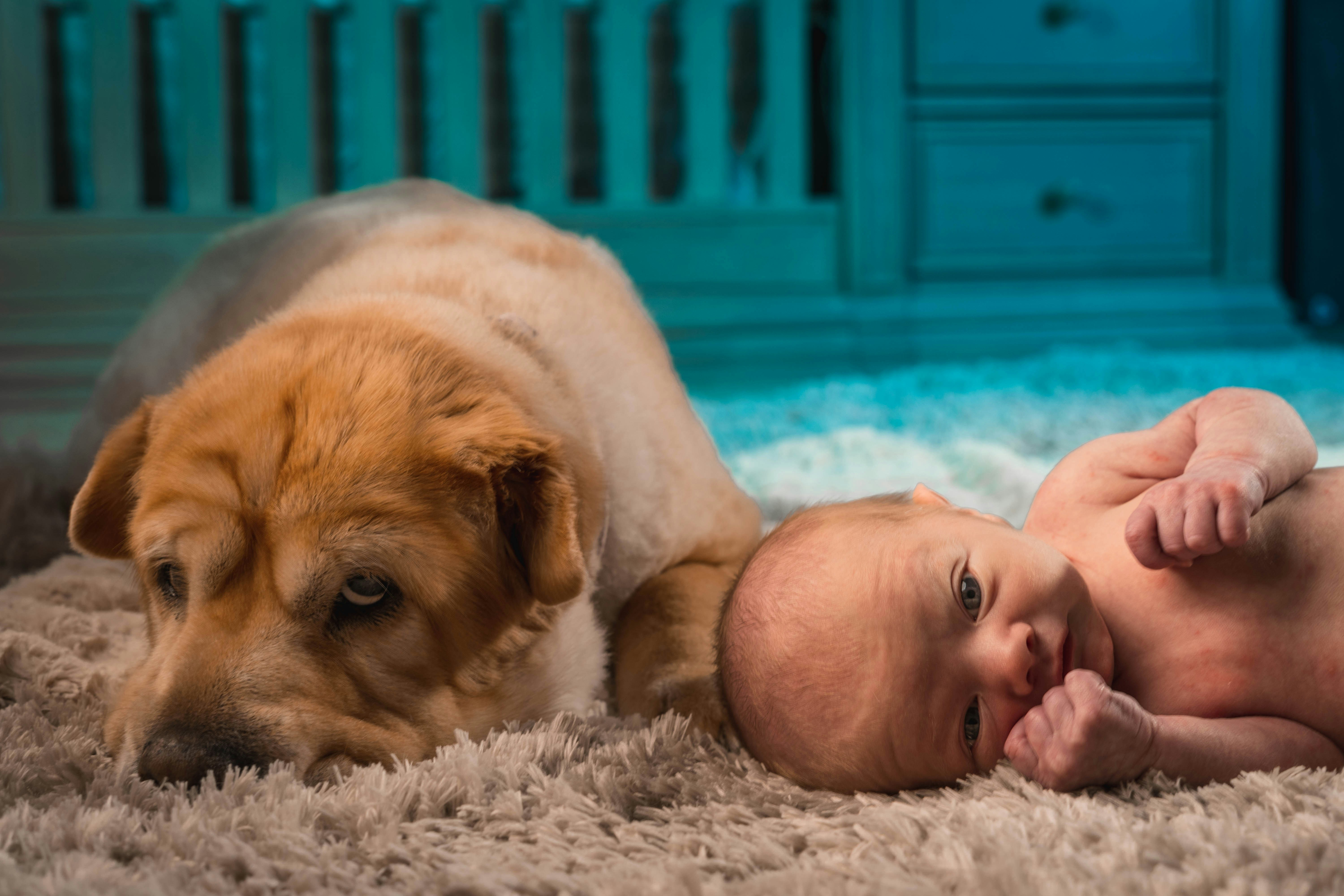 baby lying on white textile