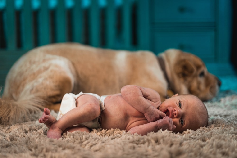 baby lying on brown fur textile