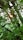 A serene natural landscape with green plants and sunlight filtering through leaves.