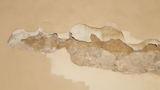 brown and white abstract painting