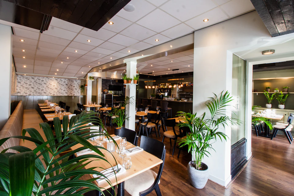 The image depicts a modern restaurant with white walls and wooden floors, creating an elegant atmosphere. The space is filled with natural light streaming through large windows on one side, illuminating the room. Several tables are arranged throughout the space, each adorned with potted plants that add a touch of greenery to the scene.

In total, there are eight chairs positioned around the tables, inviting guests to sit and enjoy their meals or conversations. The restaurant also features several barstools placed near the dining area, providing additional seating options for patrons who prefer standing while dining.