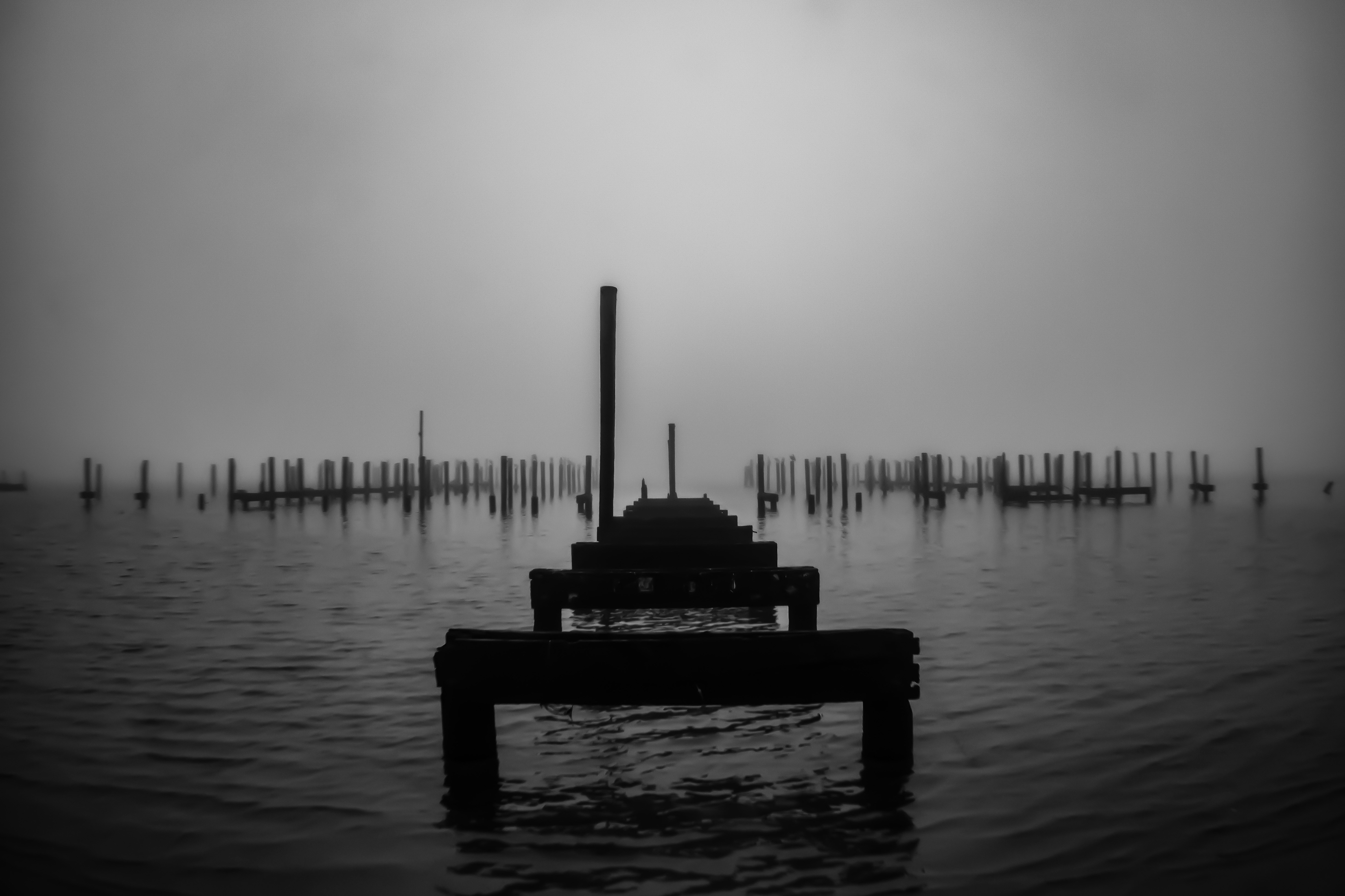 Photo by radphotosco