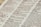 A close-up view of a dictionary page focusing on words related to 'technology.' The text is clear, with bold headings for each term and line-by-line definitions.