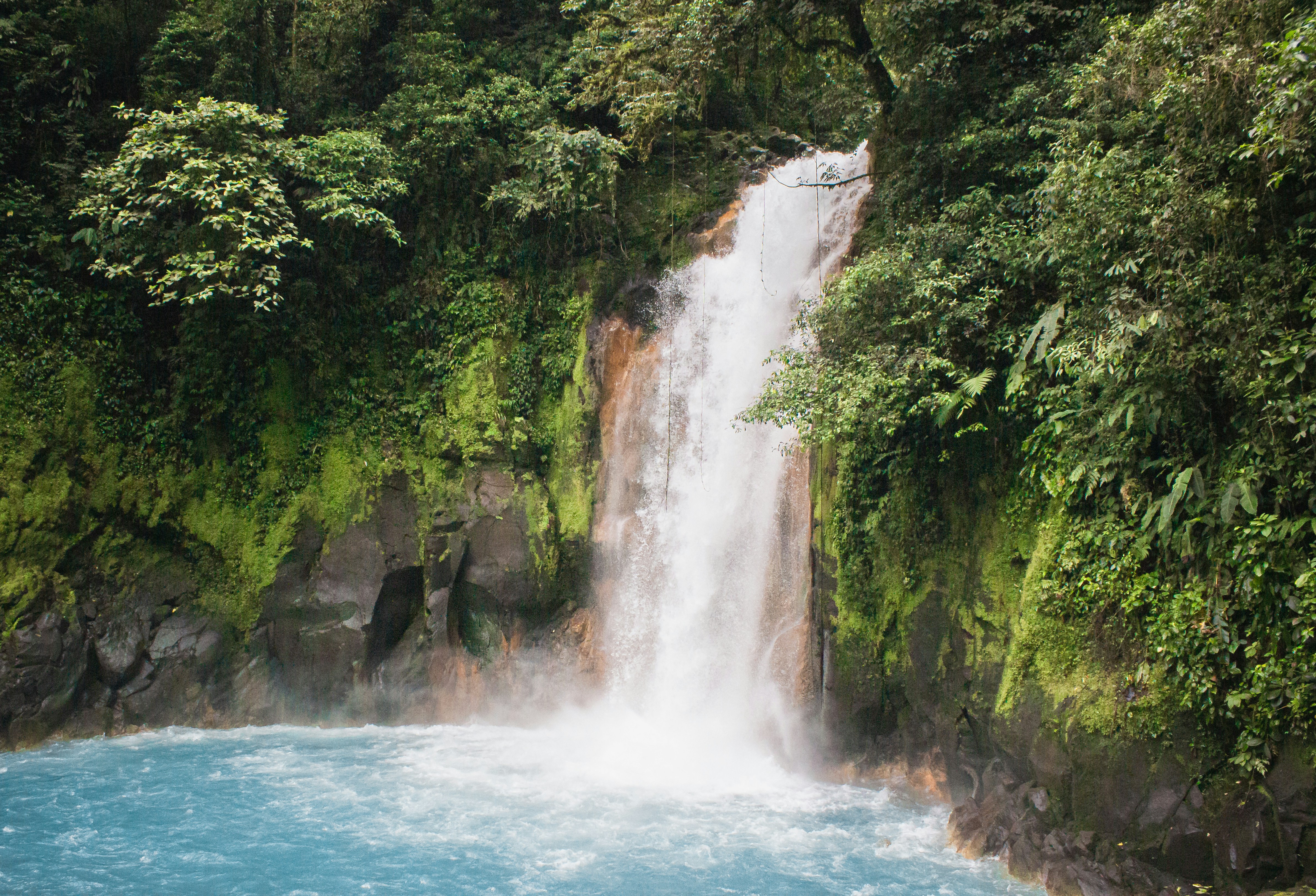 waterfalls in the middle of the forest