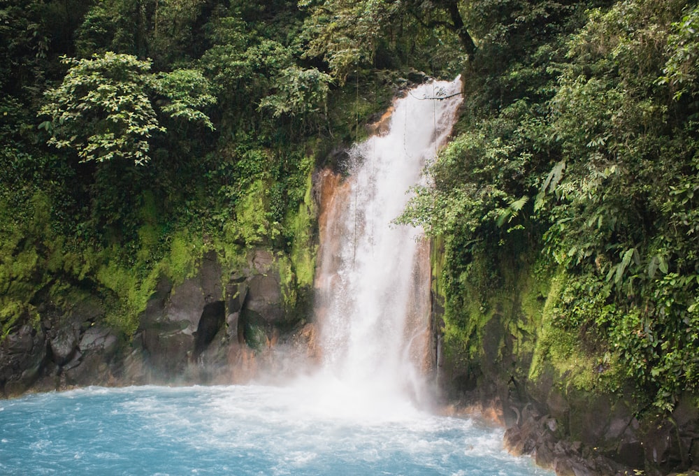 waterfalls in the middle of the forest