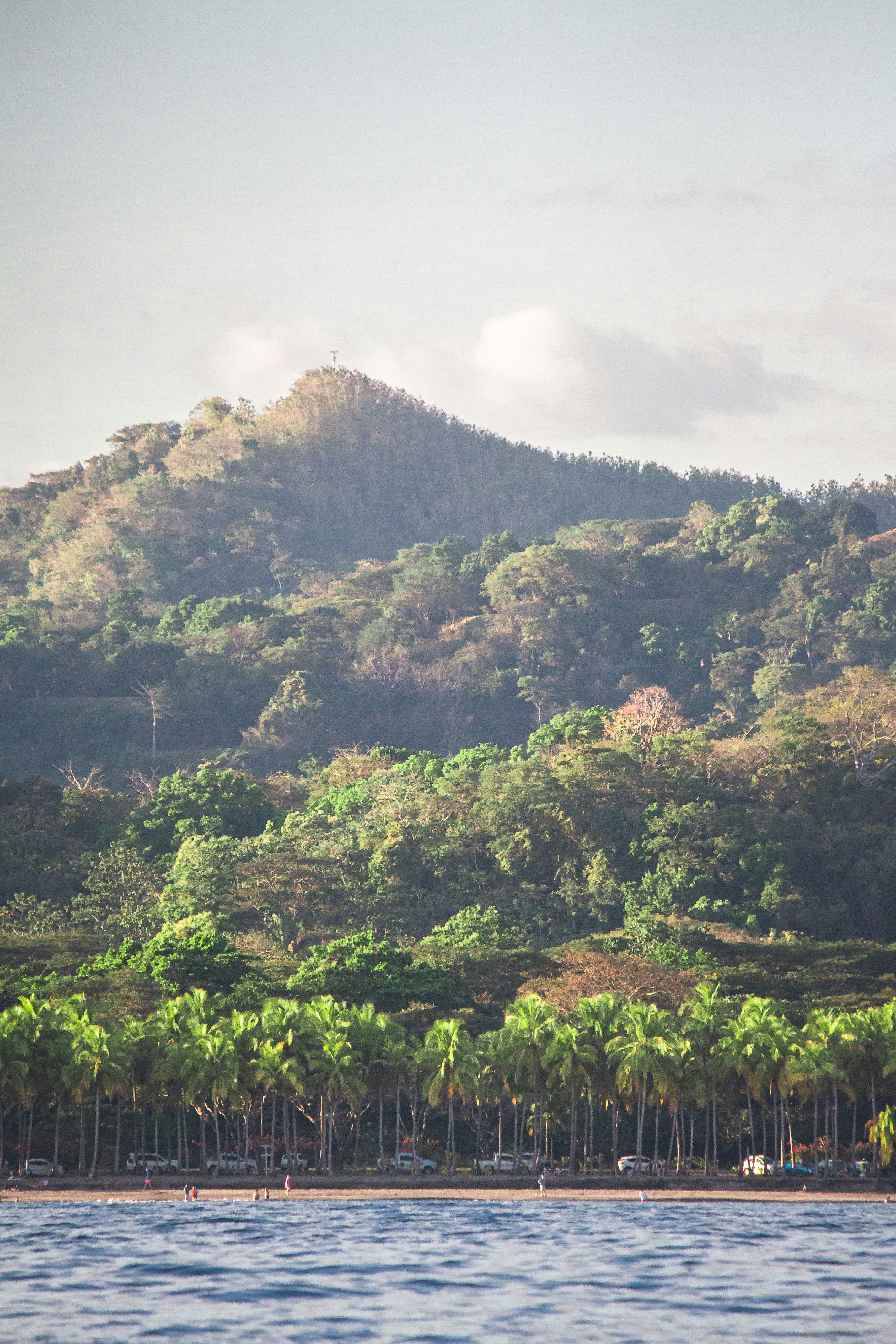 green trees on mountain during daytime
