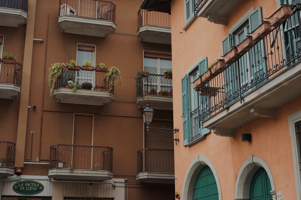 brown concrete building with green plants