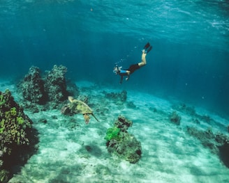 man in blue shorts diving on water