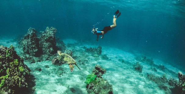 man in blue shorts diving on water