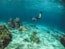 man in blue shorts diving on water