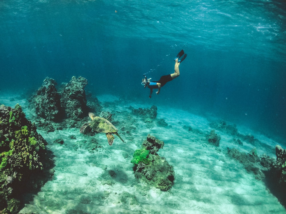 man in blue shorts diving on water