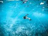 man in black shorts swimming in water