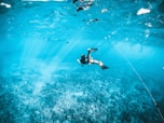 man in black shorts swimming in water