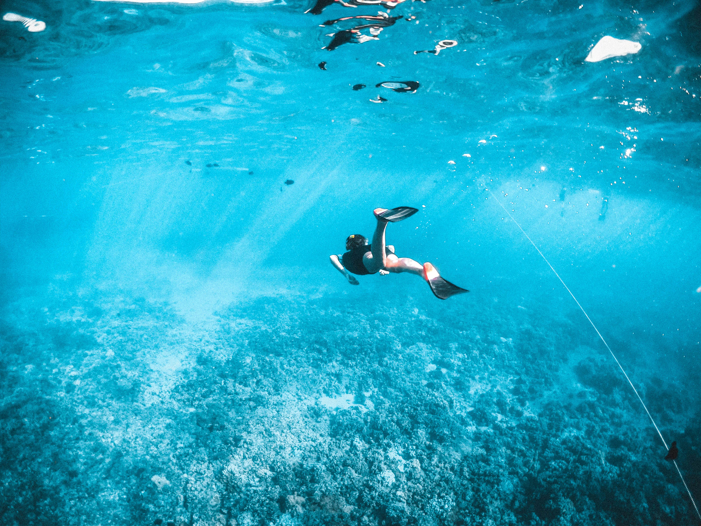 Snorkeler swimming underwater over reef habitat in Maui, Hawaiʻi