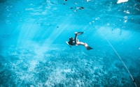 man in black shorts swimming in water