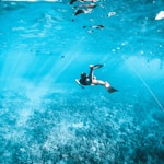 man in black shorts swimming in water