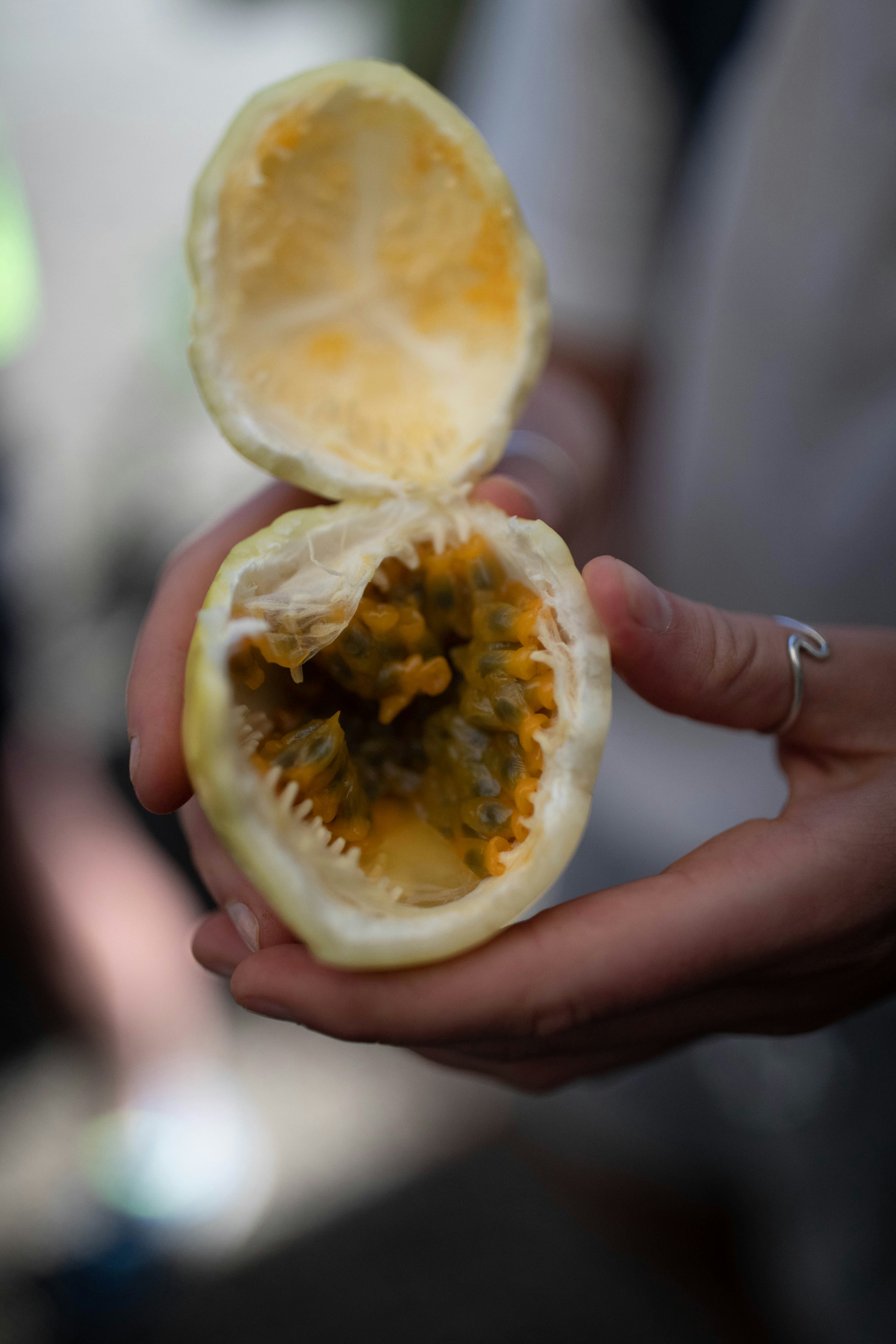 Fruit shot by Kyle @SubtleCinematics with the Canon 1DX Mark II! Check out our Instagram @SubtleCinematics