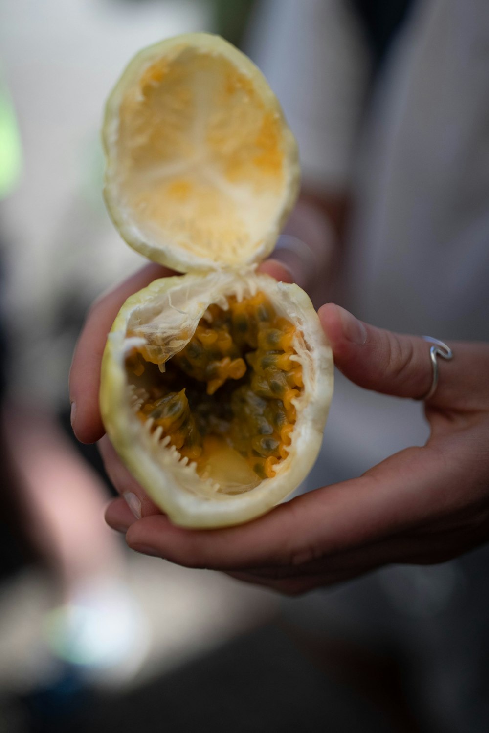 person holding sliced of orange