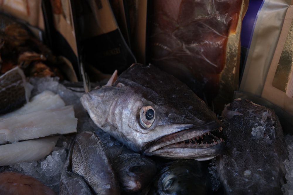 black fish in clear plastic pack