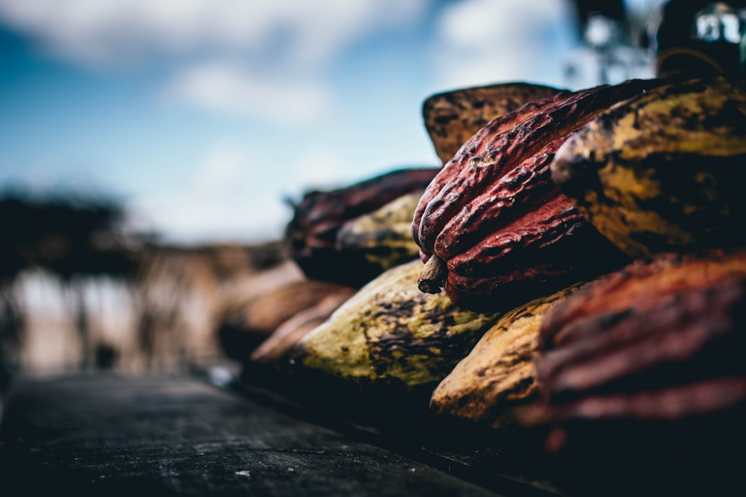 What makes Cacao CEREMONIAL? & My top 7 ceremonial-grade cacaos