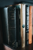 Several books stand side-by-side on a wooden shelf. The titles visible include religious and fiction genres, with one book titled 'The Living Bible' having a notably worn black cover. Other books have spines with dark, beige, and orange tones, and are authored by popular writers.